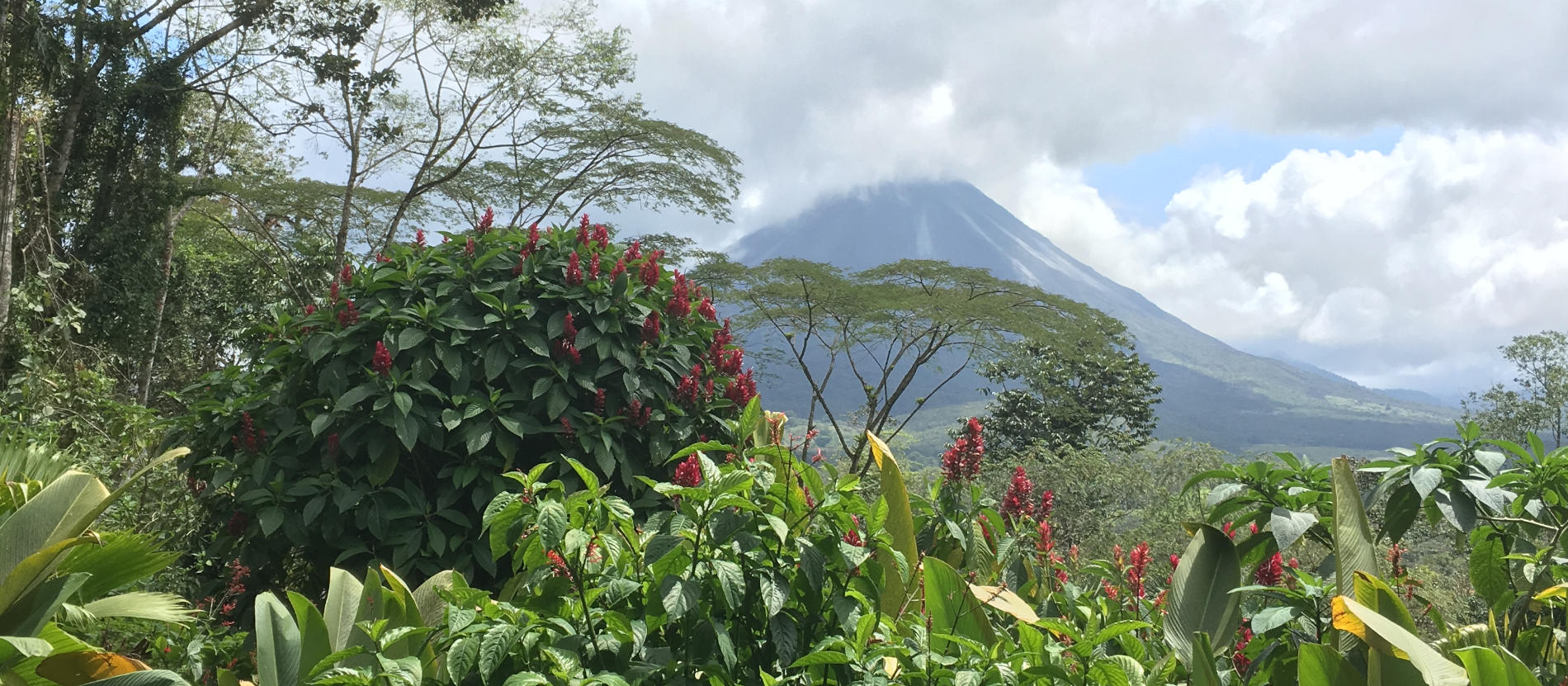 jambo tours costa rica