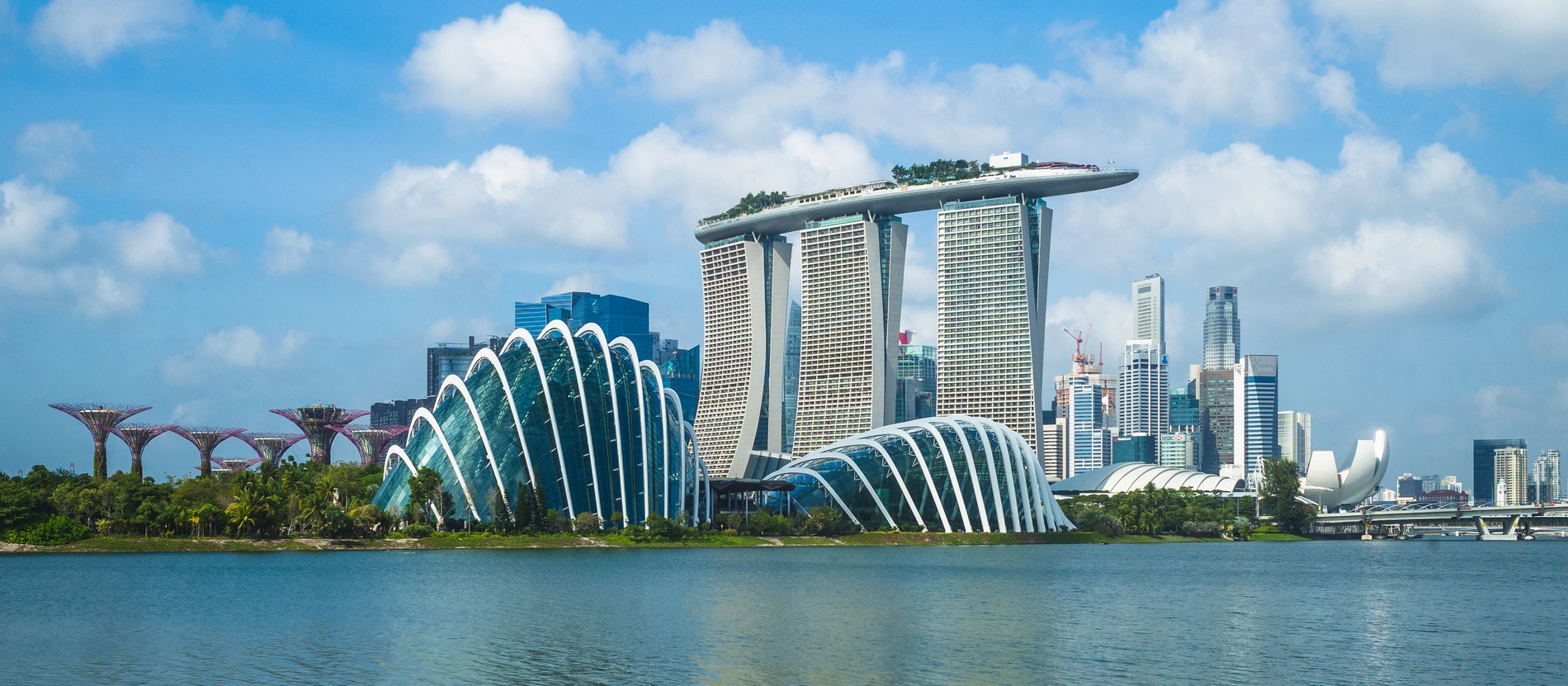 Singapore_Gardens by the Bay_banner